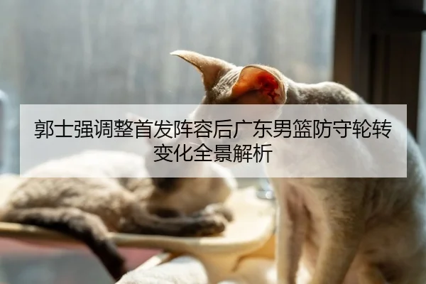 郭士强调整首发阵容后广东男篮防守轮转变化全景解析