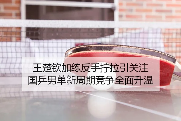王楚钦加练反手拧拉引关注 国乒男单新周期竞争全面升温